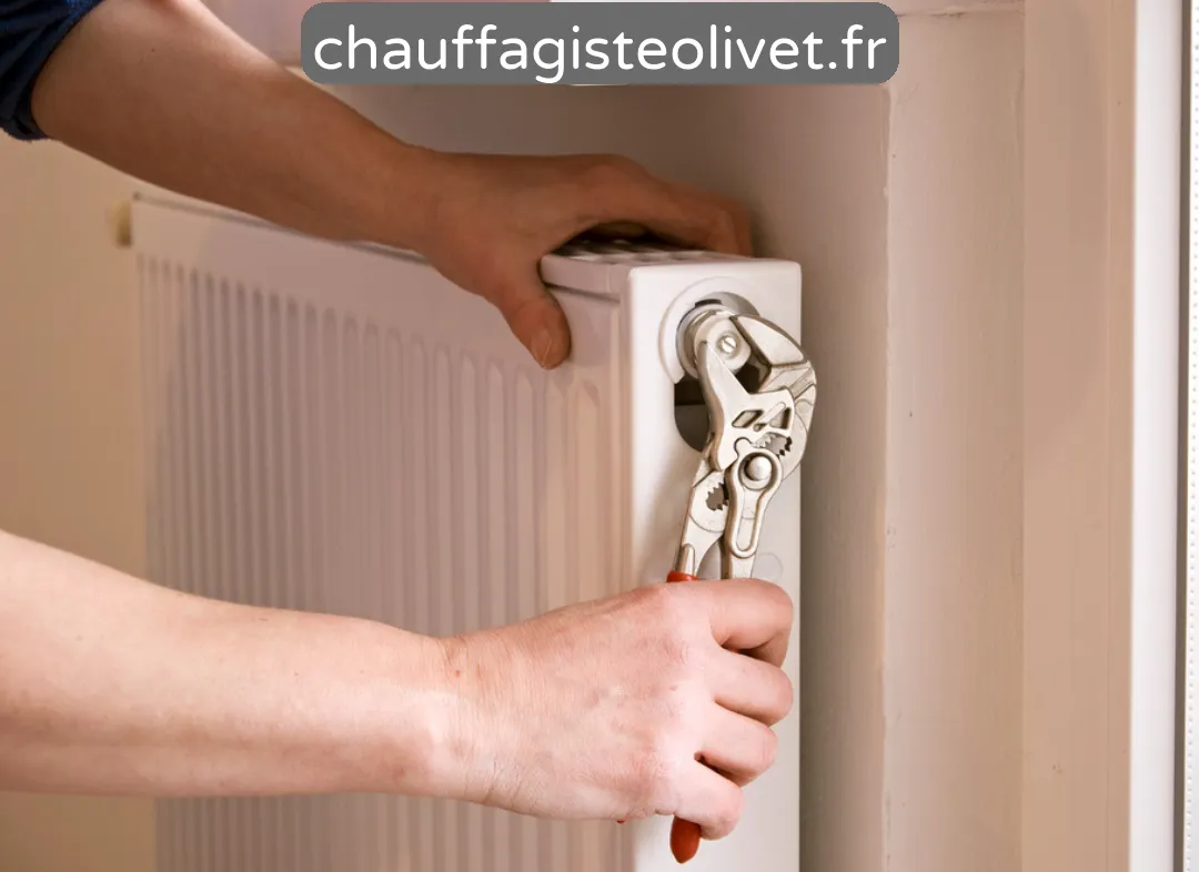 Désembouage Olivet